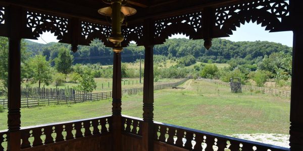 PROIECT CASA TARANEASCA MAGURENI (13)