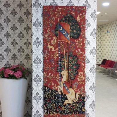 PROIECT REGINA MARIA TIMISOARA (10)