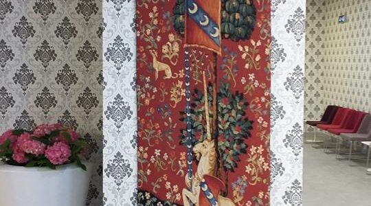 PROIECT REGINA MARIA TIMISOARA (10)