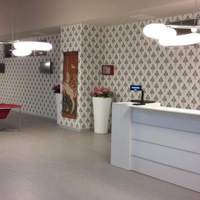 PROIECT REGINA MARIA TIMISOARA (11)