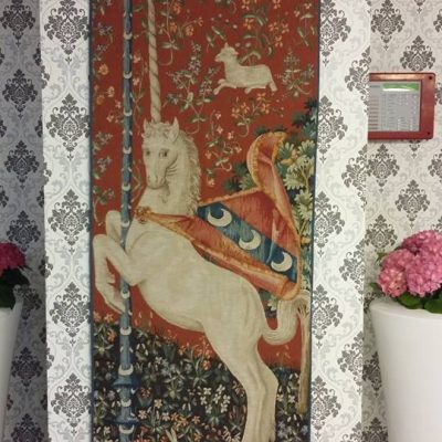 PROIECT REGINA MARIA TIMISOARA (12)