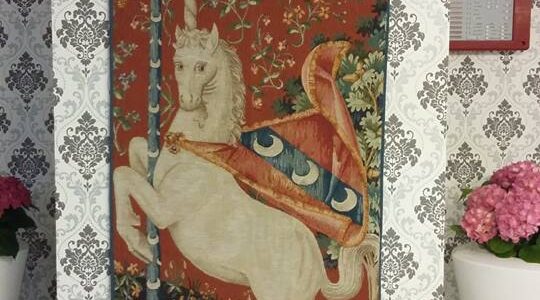 PROIECT REGINA MARIA TIMISOARA (12)