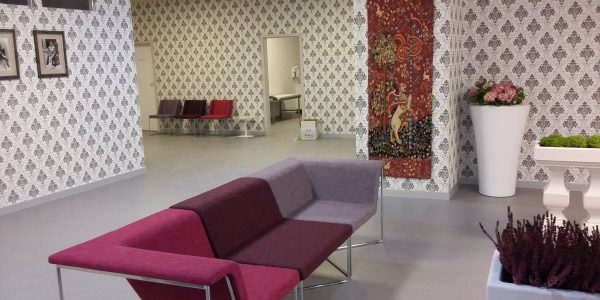 PROIECT REGINA MARIA TIMISOARA (13)