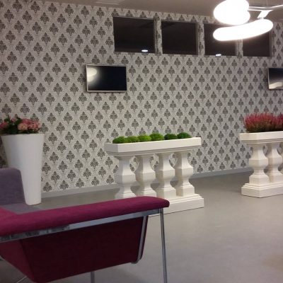 PROIECT REGINA MARIA TIMISOARA (3)