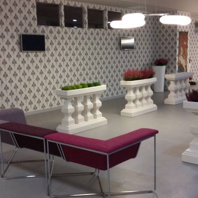 PROIECT REGINA MARIA TIMISOARA (4)