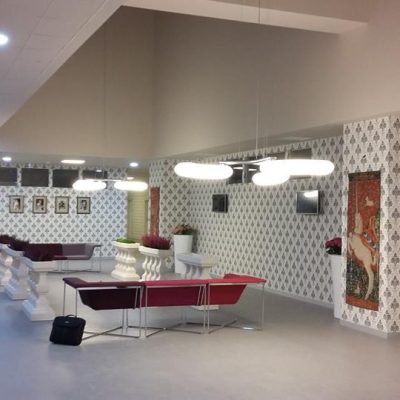 PROIECT REGINA MARIA TIMISOARA (5)