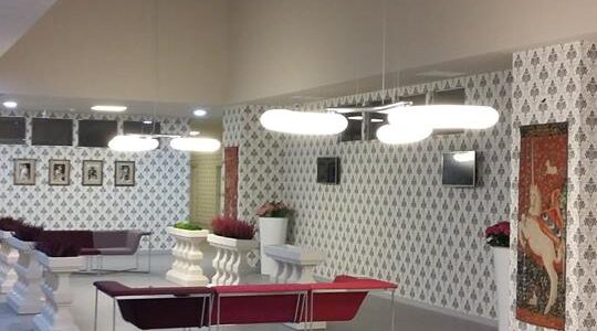 PROIECT REGINA MARIA TIMISOARA (5)