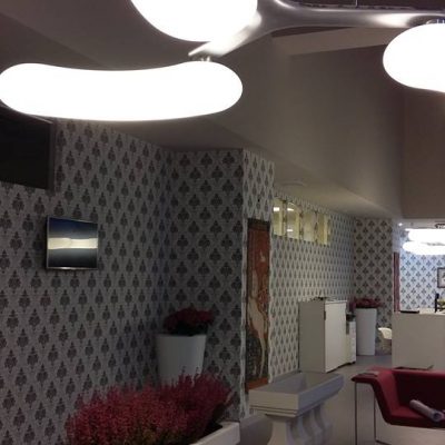 PROIECT REGINA MARIA TIMISOARA (6)