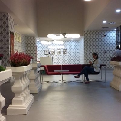 PROIECT REGINA MARIA TIMISOARA (7)