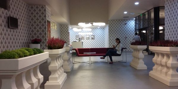 PROIECT REGINA MARIA TIMISOARA (7)