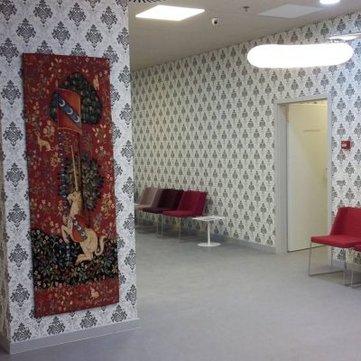 PROIECT REGINA MARIA TIMISOARA (8)