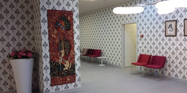 PROIECT REGINA MARIA TIMISOARA (8)