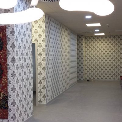 PROIECT REGINA MARIA TIMISOARA (9)