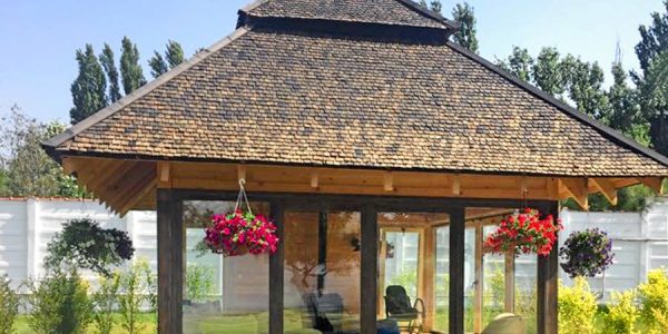 pavilion-snagov1 (1)